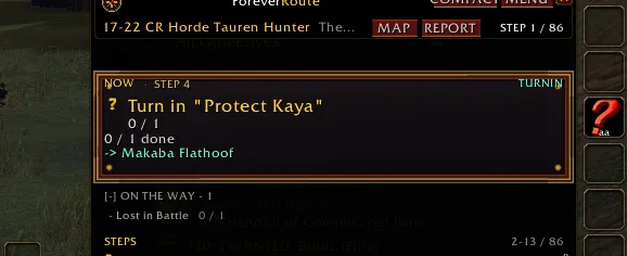 Actual screenshot showing current quest objective details